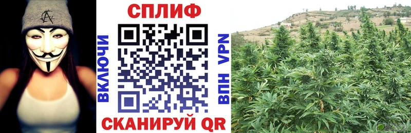 Наркошоп Черногорск A-PVP  Кокаин  Меф мяу мяу  Марихуана  МДМА  Псилоцибиновые грибы  ГАШ  АМФЕТАМИН 