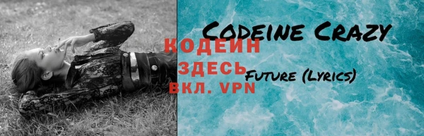крисы Володарск