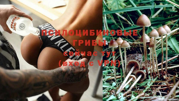 дурь Волосово